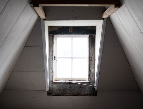 Damp and Mould Prevention: Our Advice for Landlords